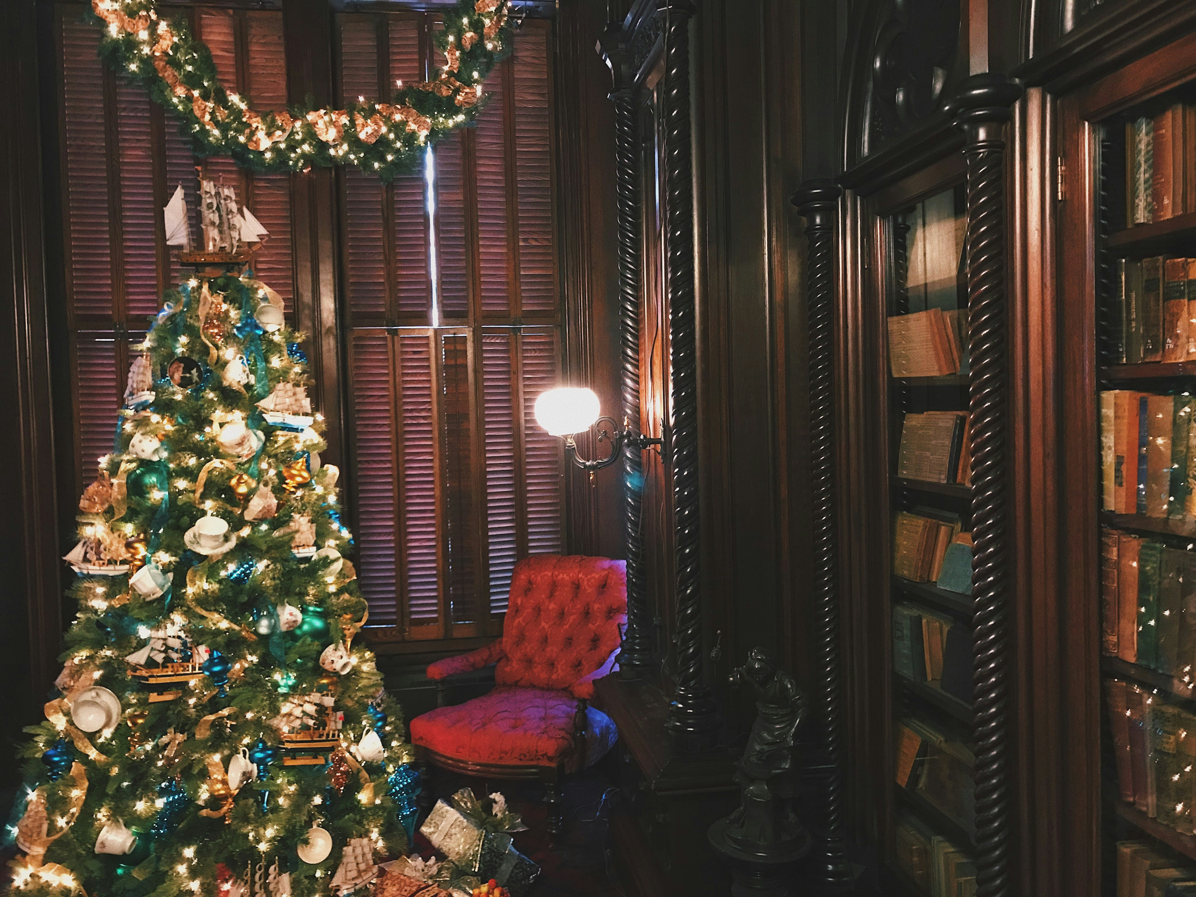 Fresh Christmas Trees