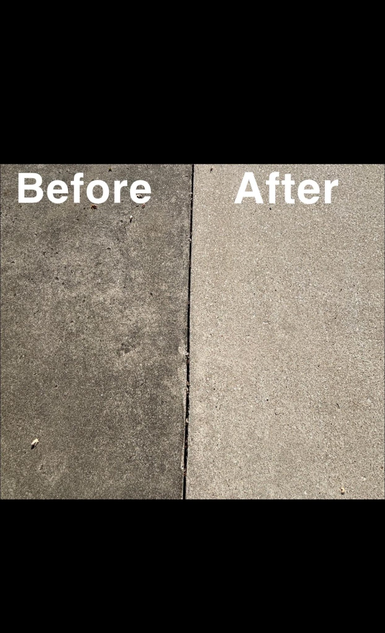 Landscaping Transformation